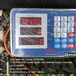 Reloj Smart Garmin Fenix 7S Solar